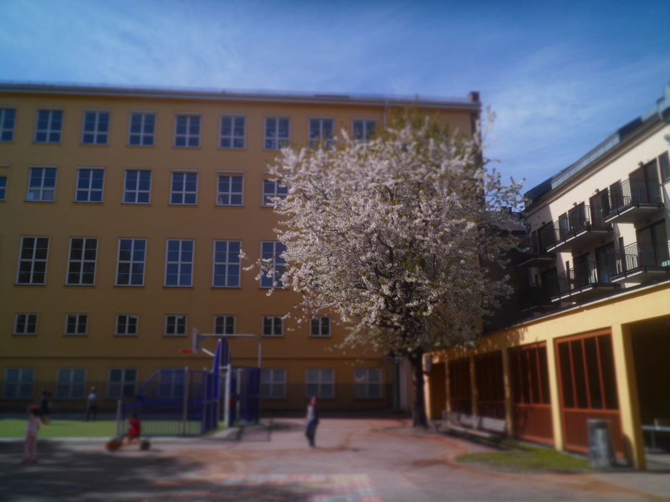 Sommer i skolegården Sommer i skolegården