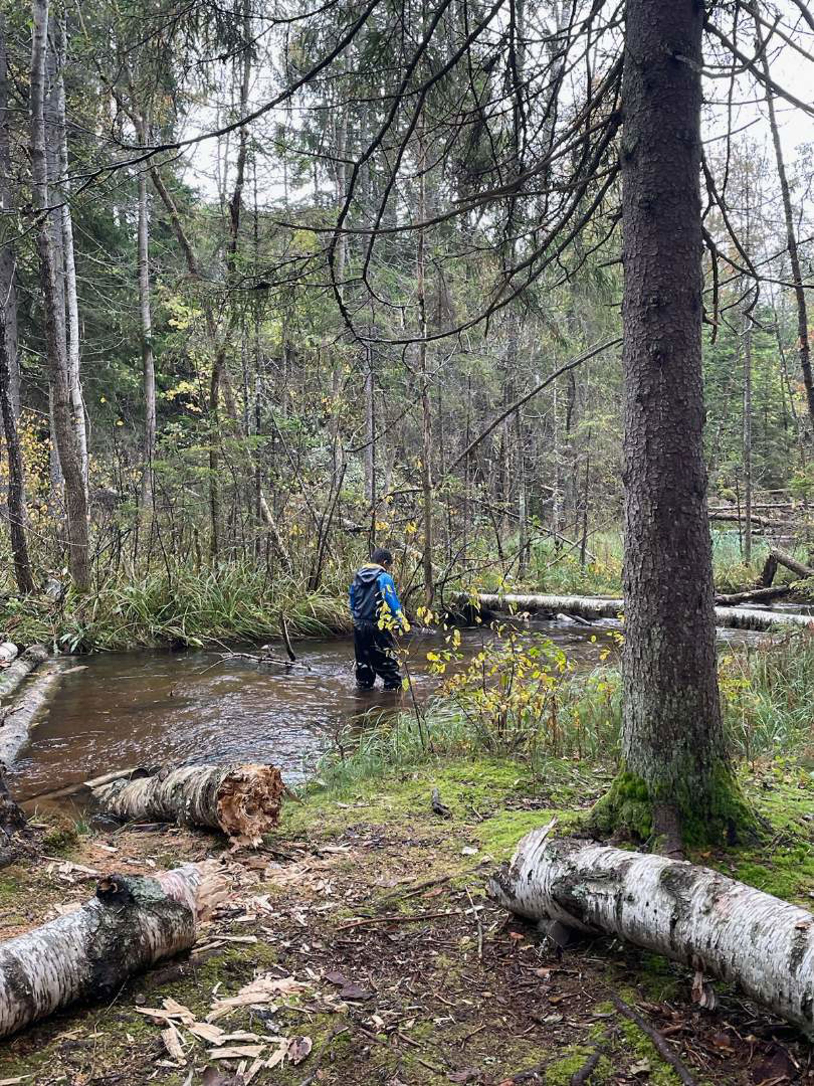 4. trinn på tur til Skar