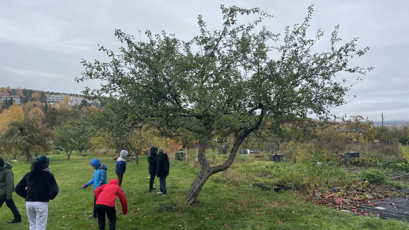 Uteskole 1 Uteskole 1